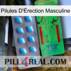 Male Erection Pills new03